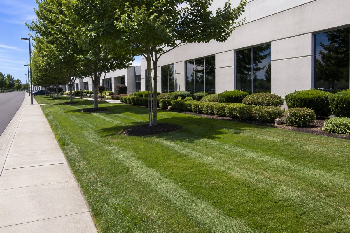 Well maintained commercial property lawn