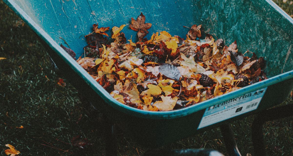 Raked autumn leaves pile on residential lawn